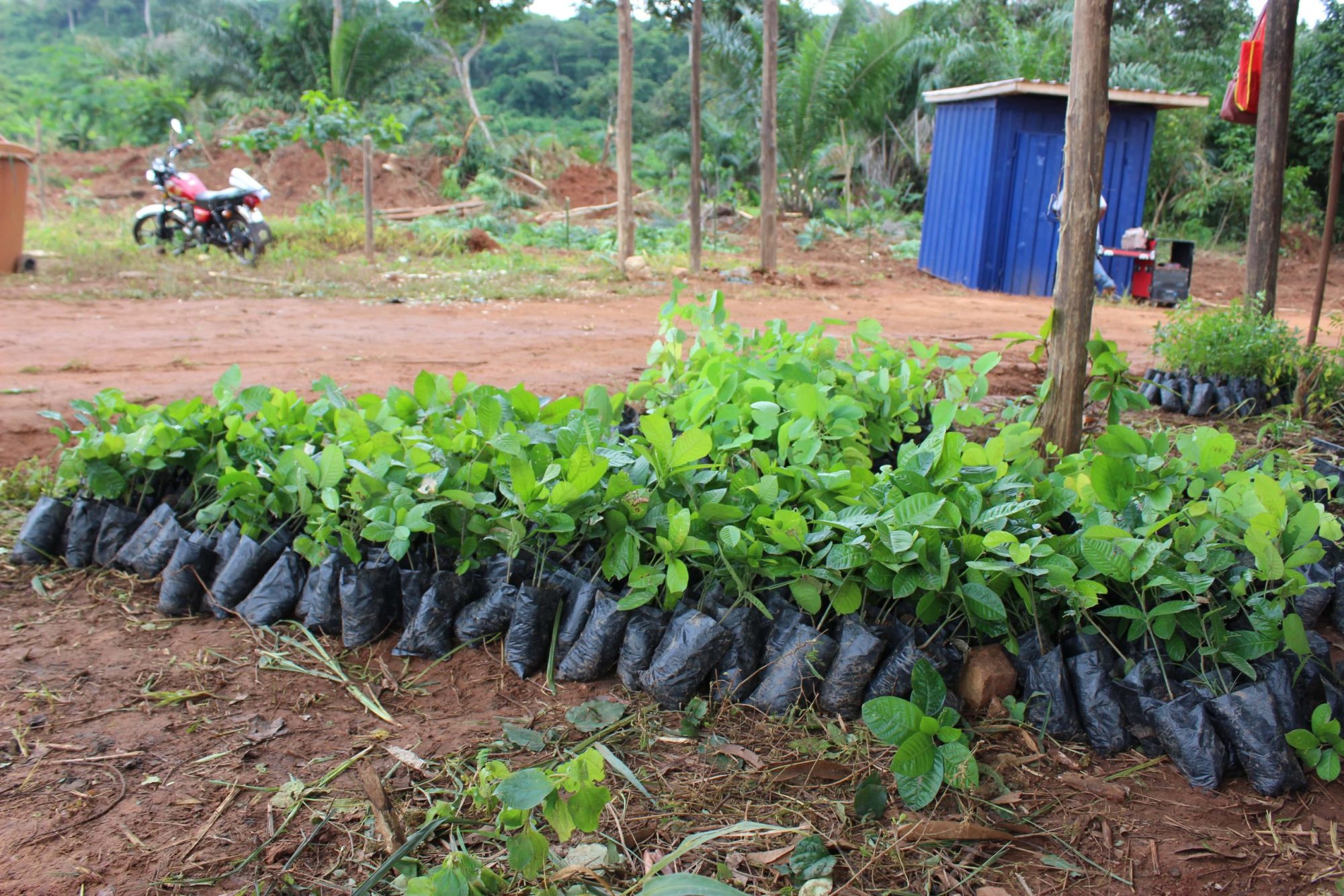 20210924095500 IMG 4207 Min 2 Scaled 2000x1334