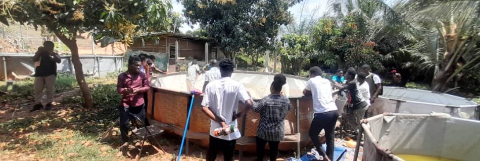 WhatsApp Image 2025 09 29 At 08.35.58 950x320