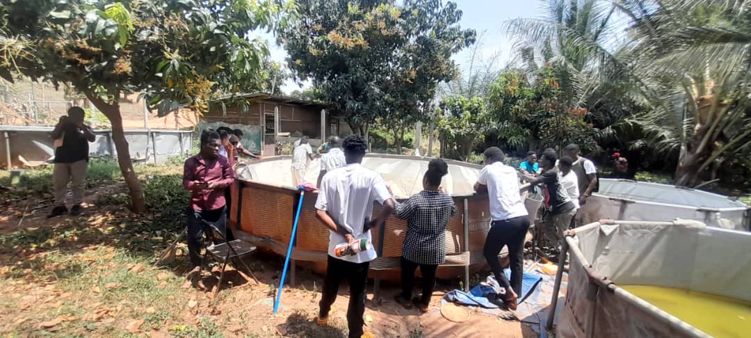 WhatsApp Image 2025 09 29 At 08.35.58