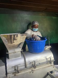 whatsapp image 2025 11 03 at 13.40.57 13077129