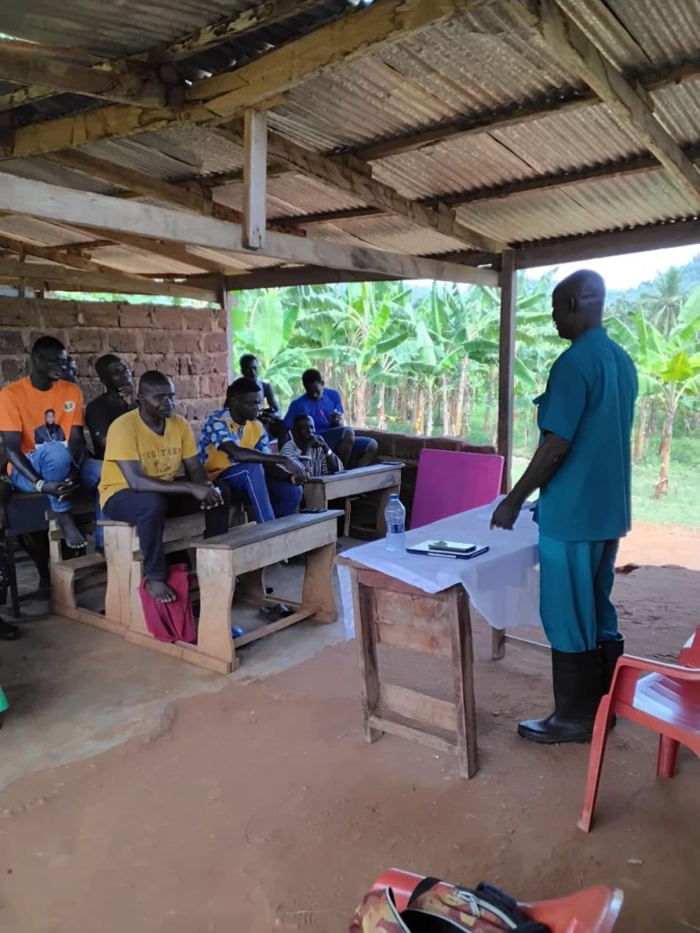 whatsapp image 2025 10 31 at 13.47.50 1c553f8d