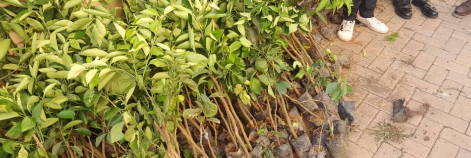 whatsapp image 2025 11 14 at 12.46.43 f27a1549