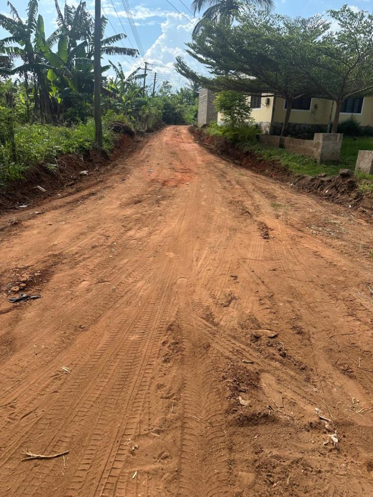 whatsapp image 2025 11 16 at 11.53.48 d8e88e53