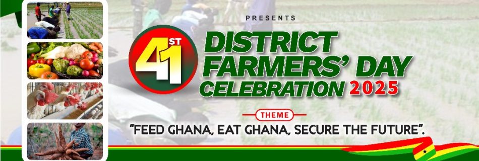 whatsapp image 2025 11 24 at 15.28.42 db4dcb30