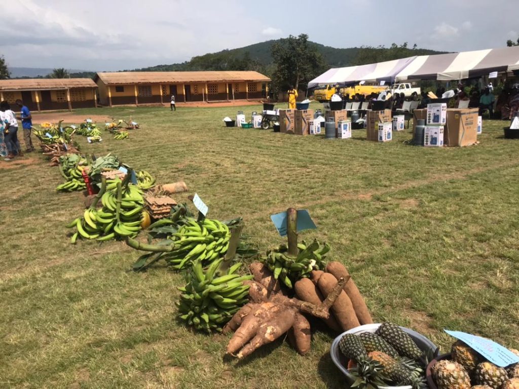 whatsapp image 2025 12 05 at 21.13.57 a4052612