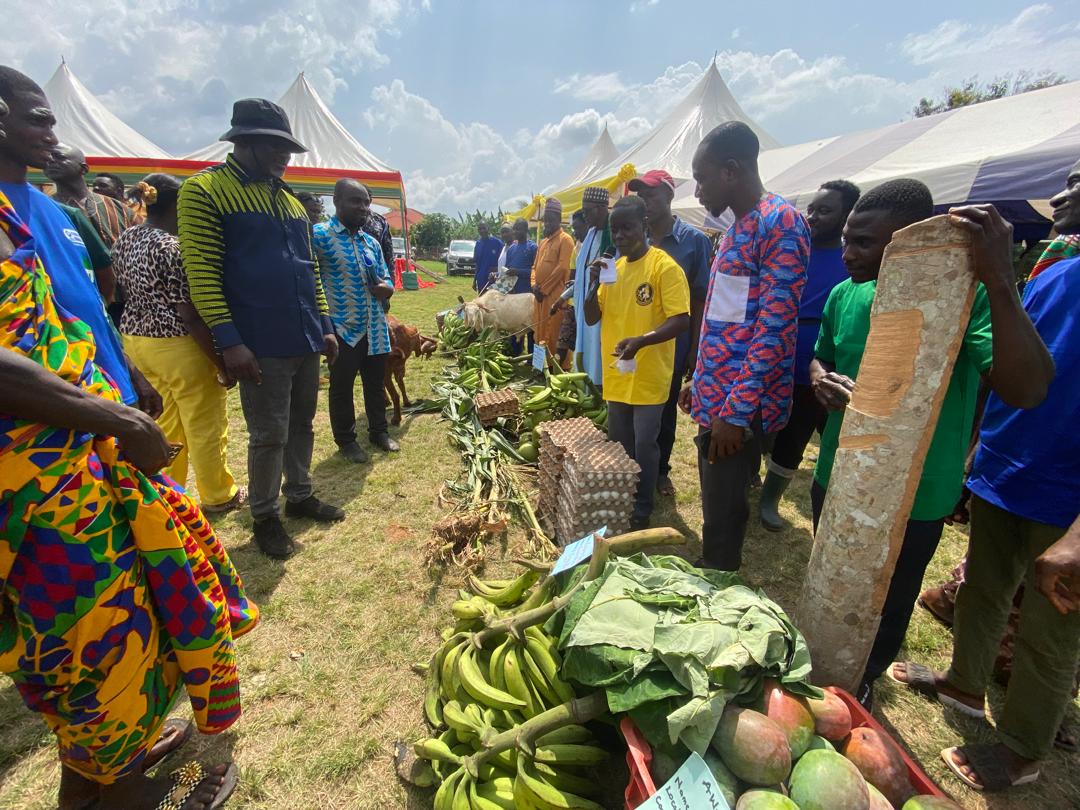 whatsapp image 2025 12 06 at 07.16.48 8d89db94