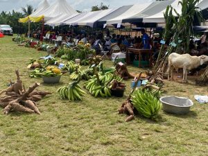 whatsapp image 2025 12 06 at 07.20.28 3db100ba