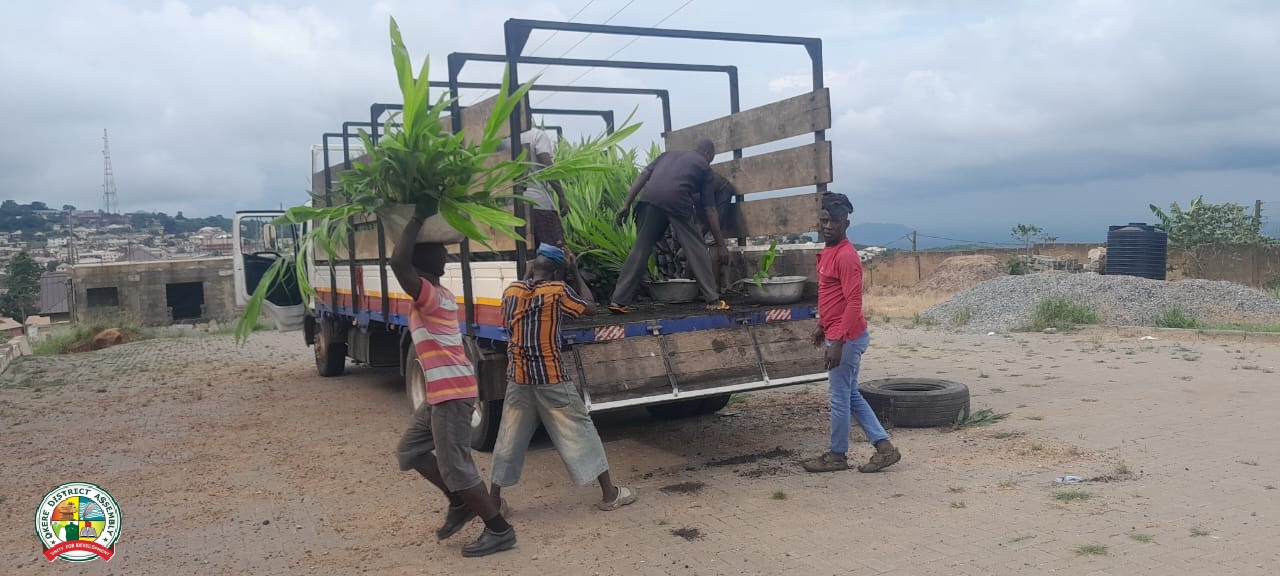 🌴 Palm seedlings distributed as part of the PERD Flagship Project whatsapp image 2026 09 18 at 16.35.43